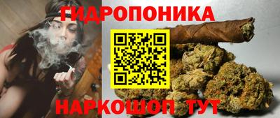 СК Пугачёв