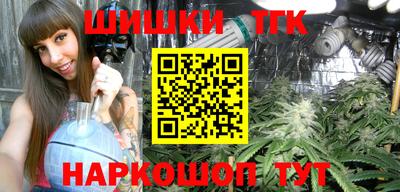 СК Пугачёв