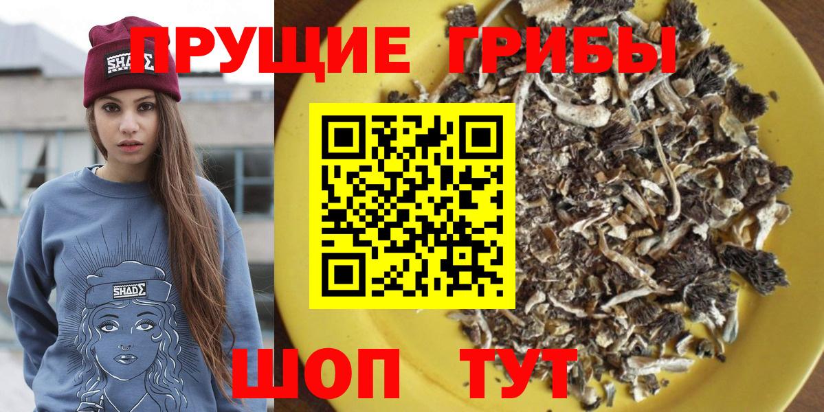 Псилоцибиновые грибы прущие грибы  Вход с VPN  Саранск 